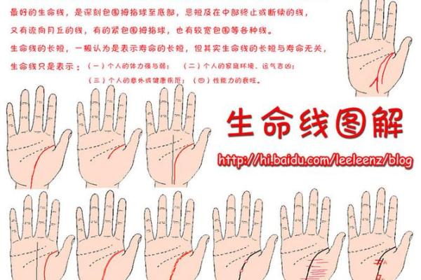 解密阴历九月生日命格：找出属于你的命运密码