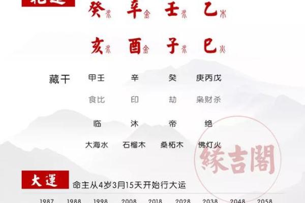 女生男命的命理解析：如何破解命运的禁锢与转变