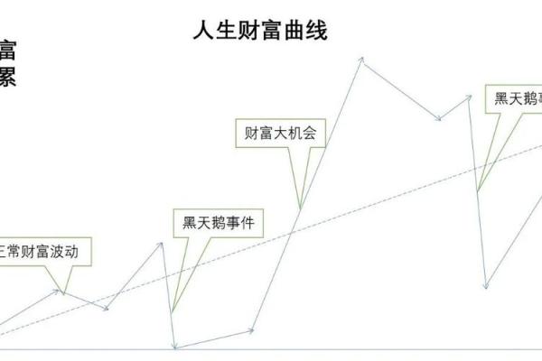 命禄的奥秘：解读人生的财富与命运之间的关系