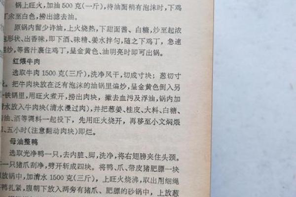 探秘民国十二年生肖的命理之道：揭开生肖背后的奥秘与风水影响