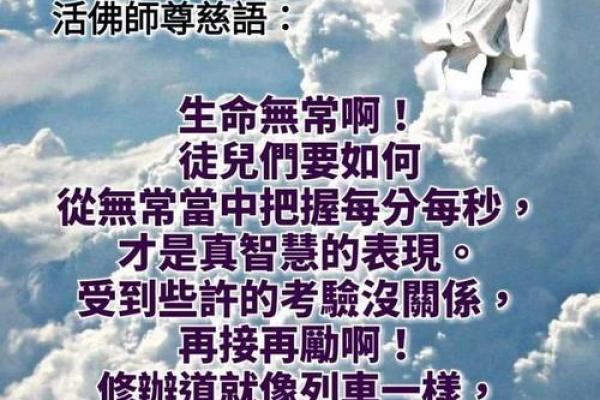 献身的智慧：探索生命的深层意义与价值