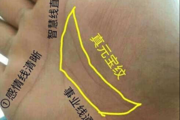 农历五月出生的水浒宝宝命运解析：揭秘宝宝的性格与运势