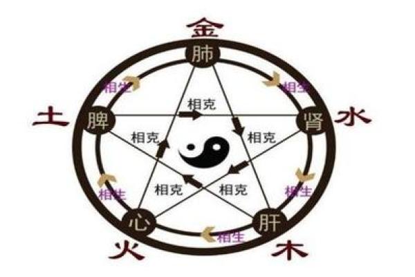 农历3月鼠女的命理解析与性格特征探究
