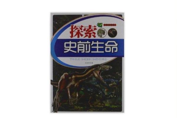 空中劈黎火命解析：探索生命中的光与影