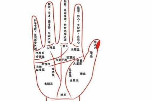 命理中带双七煞的秘密与启示：解密人生的吉凶之路