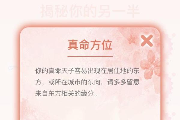 如何通过看命盘来探寻未来的秘密与方向？