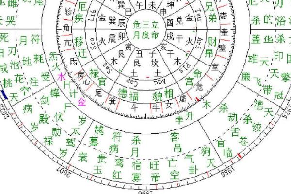 巽命格解析：探索命运与性格之间的奥秘