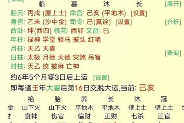 洞悉命局：如何通过八字命理了解自己的命运之路