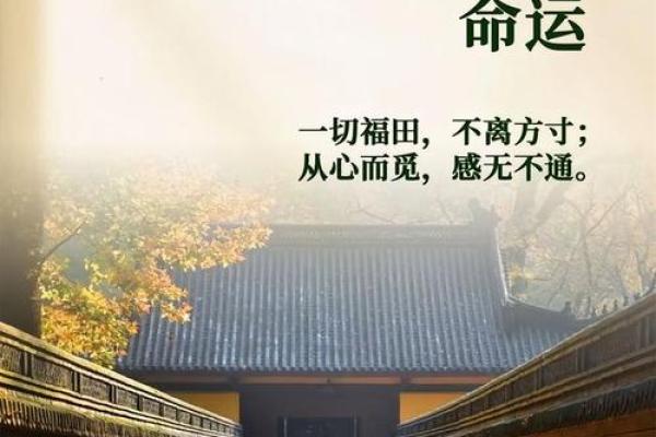 命局与大运相害的内涵与解析，揭示你命运的密码！