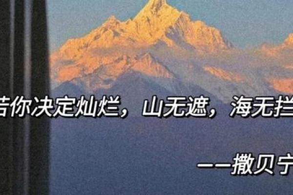 探索木命坎上主凶死的深刻寓意与人生启示