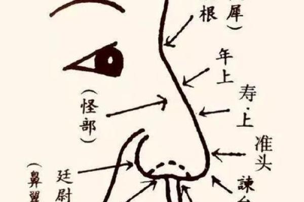 揭秘：男人面相如何影响妻子的命运与财富