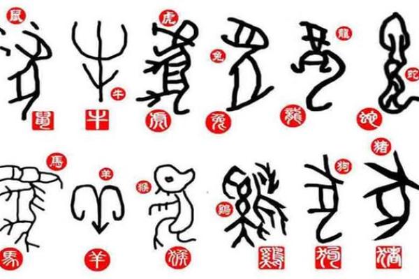 牛虎鼠兔：四种生肖的命运与性格解析