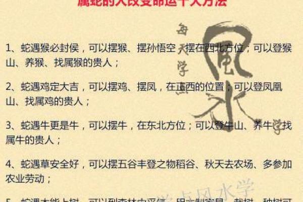 农历二月属蛇的命星解析，揭开神秘的生辰密码！