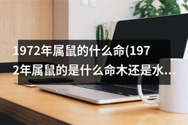木命缺金人适合寻找什么样的干爹？