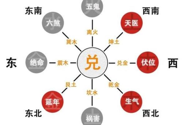 九星命卦解析：揭秘哪种命格最为优越！