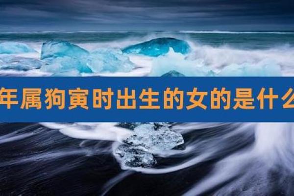 属狗寅时出生的女孩命理解读与人生拥有的优势