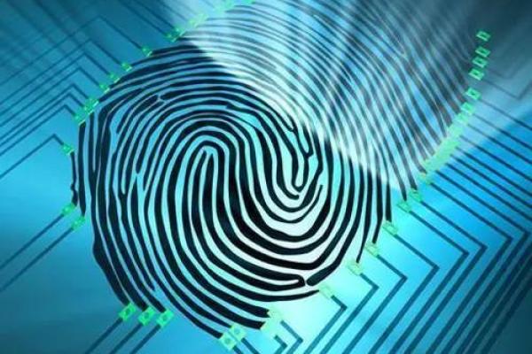 女人两个螺纹的命运探秘：揭示内心深处的秘密与魅力