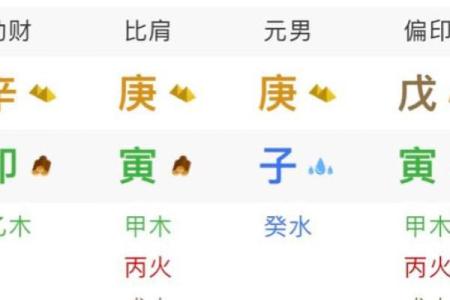 命里八字挂上榜：知晓你的命运动物，开启人生新篇章！