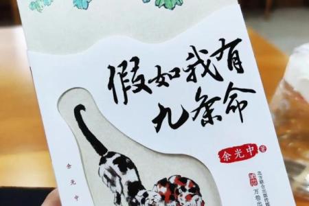 揭秘九条命男孩：命运背后的深意与启示