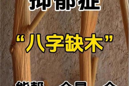 命理解读：如何通过缺木火的命理找到自我提升之道