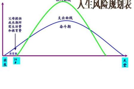 命禄的奥秘：解读人生的财富与命运之间的关系