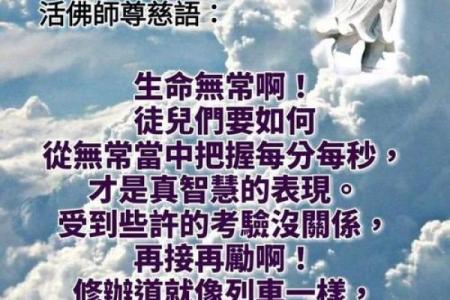献身的智慧：探索生命的深层意义与价值