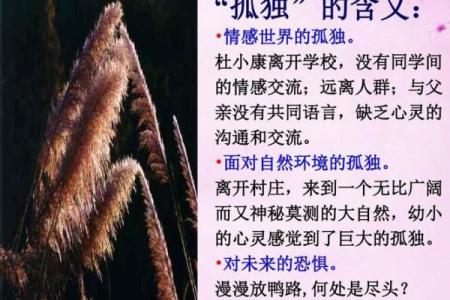 命里没有姻缘:孤独之旅的启示与反思