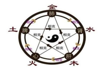 农历3月鼠女的命理解析与性格特征探究