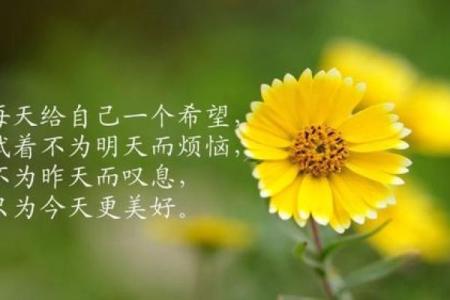 牛进食丑时辰，探秘命理背后的神秘力量与人生哲理