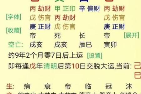 洞悉命局：如何通过八字命理了解自己的命运之路