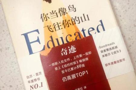 命乐正命：探寻生命的真谛与快乐的源泉