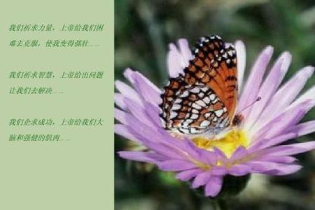 九七年五月：命格解析与人生启示