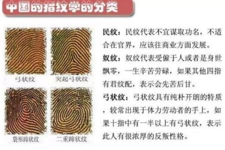 命里刮皮解析:揭秘运势与人生的深刻联系