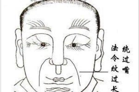 腊月初六酉时出生的命运解析：一生的吉凶与运势