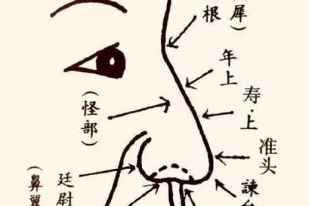 揭秘：男人面相如何影响妻子的命运与财富