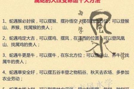 农历二月属蛇的命星解析,揭开神秘的生辰密码!