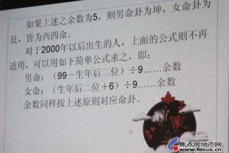 探索命格的奥秘:西四命与东四命之外的命理知识