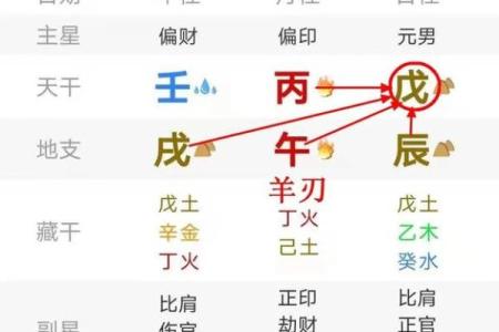 命局解析：富贵与命理之间的微妙关系