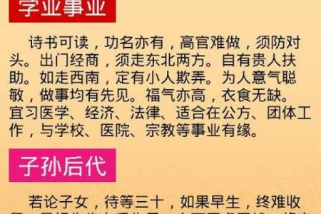 九月出生的兔：命理解析与命运走向