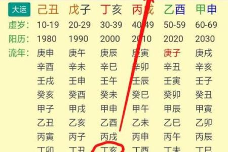 葵亥女命与男命最佳配对:爱情的星辰大海