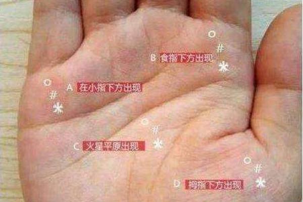 女孩子的富贵命格：掌握命理，开启人生辉煌之路