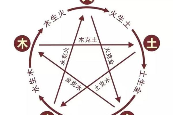2006年属狗人命运解析：从五行看人生轨迹与机遇