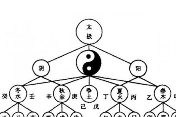 男土命与最佳命相配的深度解析与相生法则