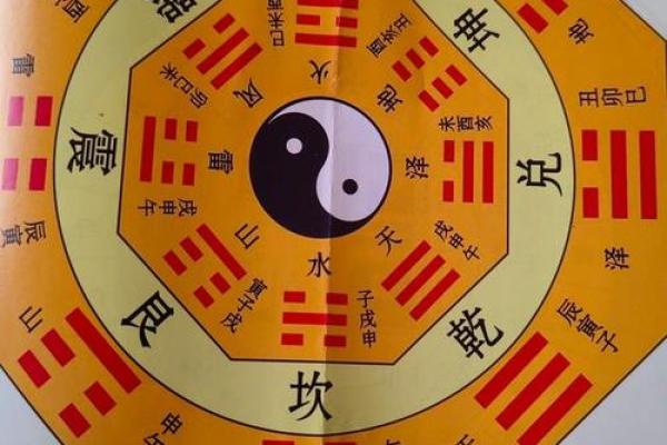 龙男金命与哪些命相配最佳？探寻命理学中的理想组合