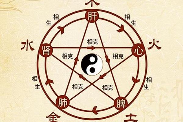 根据出生年份探秘五行之命的神奇世界