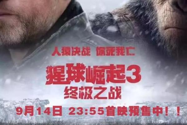逆天而行：命运的抗争与重新崛起