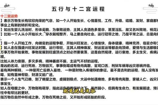 农历22五行命理解析：带你探寻生命的秘密与能量