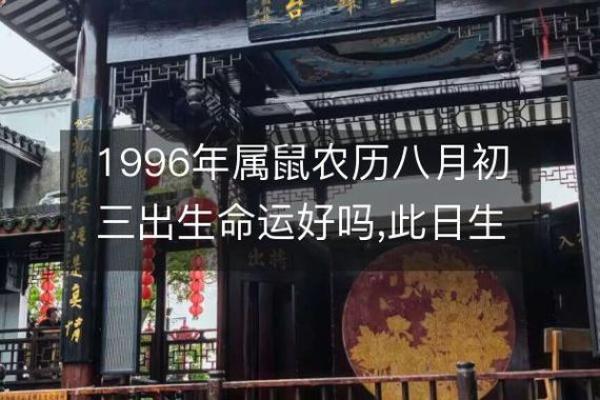 1996年属鼠的命运解析：从五行看人生轨迹与发展方向