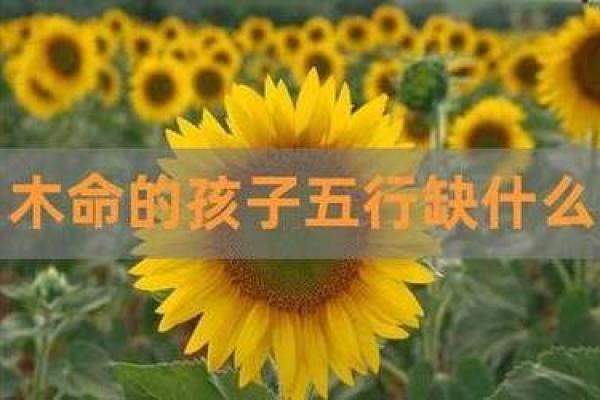 木命的命理之道：不可携带的禁忌与生活智慧