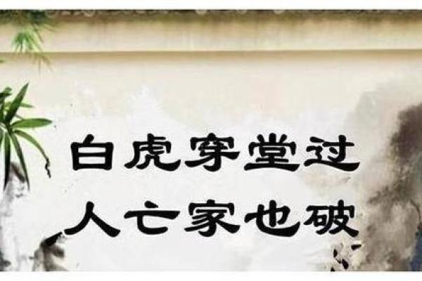揭秘女命带白老虎的深层含义与影响